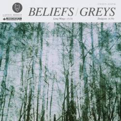Greys : Lost Wings - Dodgson